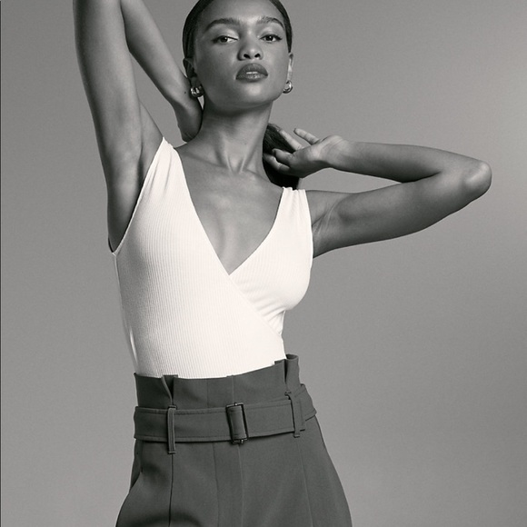 Aritzia Babaton Lido Bodysuit in Fog/Gray - Picture 8 of 14